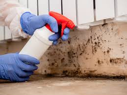 Reliable Peru, IL Mold Removal & Remediation Solutions